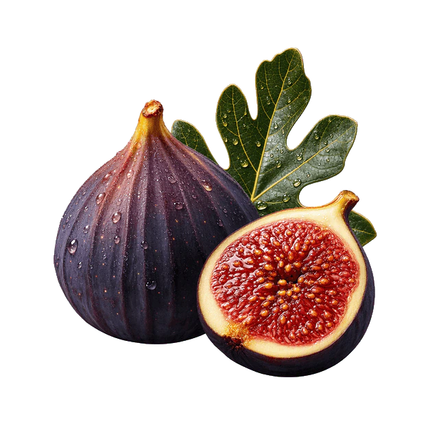 Fig